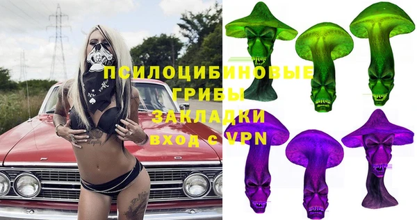 мдпв Нея
