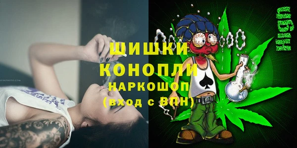 ПСИЛОЦИБИНОВЫЕ ГРИБЫ Белая Холуница