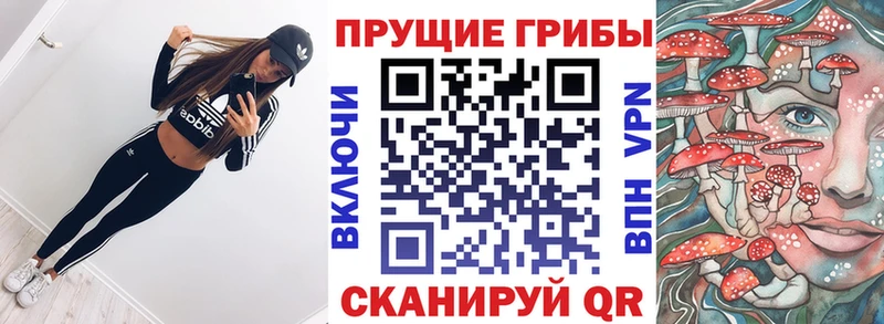 Галлюциногенные грибы MAGIC MUSHROOMS  это клад  Краснодар 