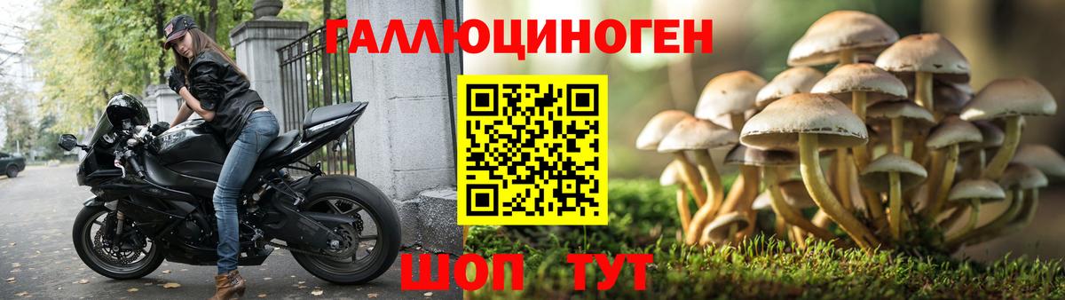 Галлюциногенные грибы MAGIC MUSHROOMS Краснодар