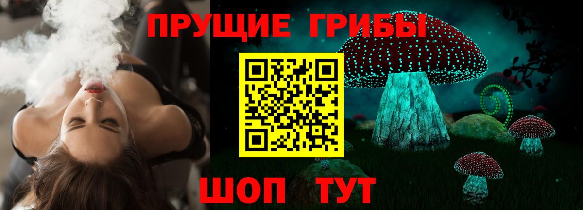 Галлюциногенные грибы мицелий  Псилоцибиновые грибы GOLDEN TEACHER  Вход с VPN  Краснодар 